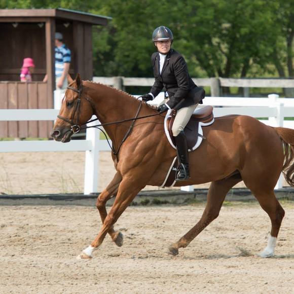 Meet your Posher, Sandy - Picture 1 of 1